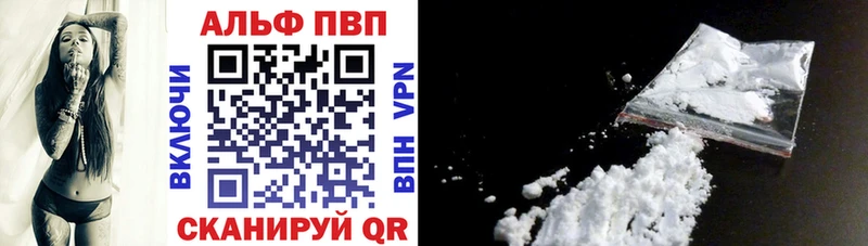 A PVP СК Новая Ладога