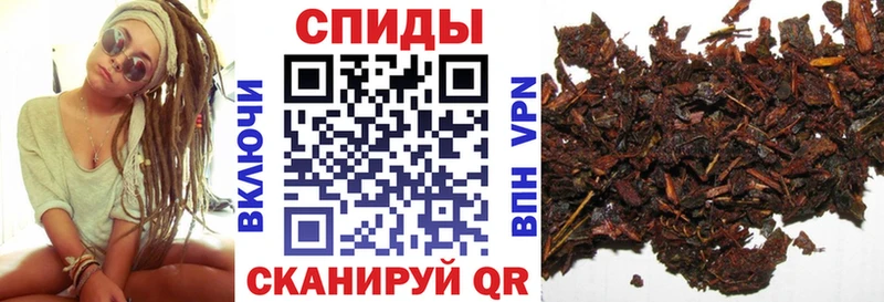 Купить закладки  Новая Ладога  БУТИРАТ бутик 
