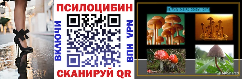 Псилоцибиновые грибы MAGIC MUSHROOMS Купить закладки Новая Ладога